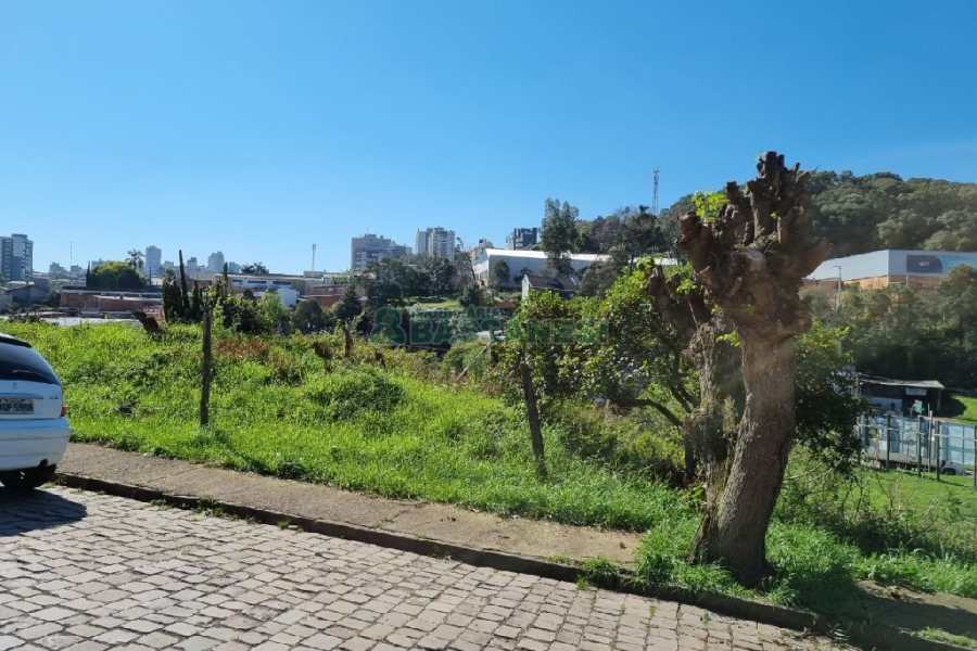 Terreno, no bairro Salgado Filho em Caxias do Sul para Comprar