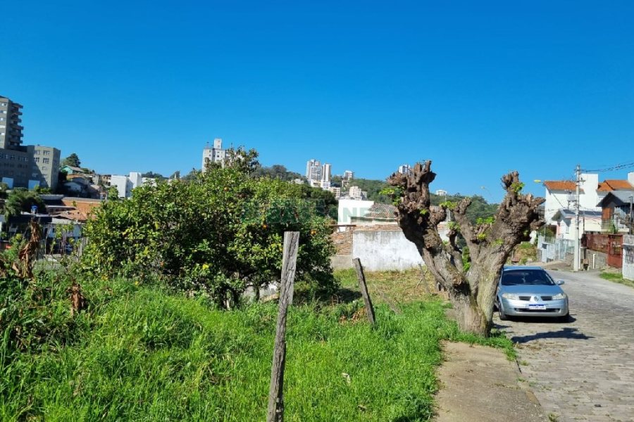Terreno, no bairro Salgado Filho em Caxias do Sul para Comprar