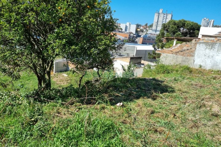 Terreno, no bairro Salgado Filho em Caxias do Sul para Comprar