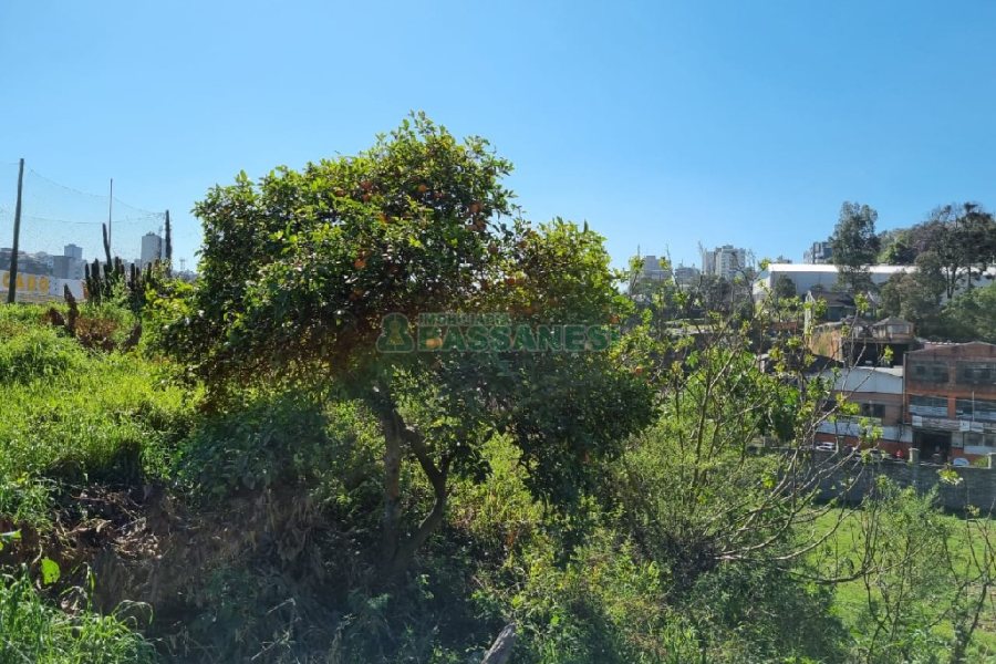 Terreno, no bairro Salgado Filho em Caxias do Sul para Comprar