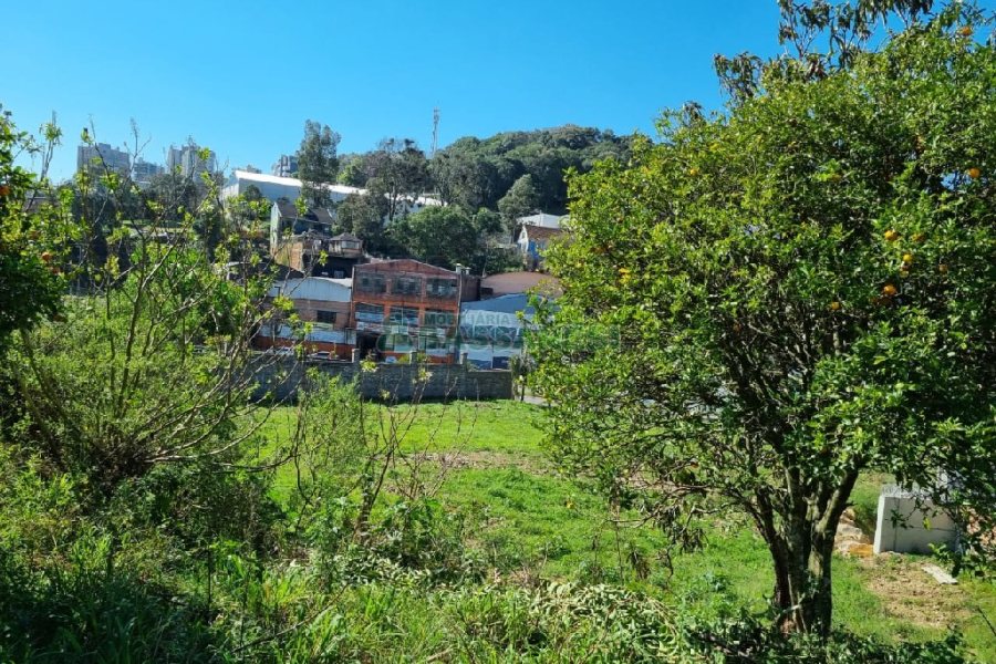 Terreno, no bairro Salgado Filho em Caxias do Sul para Comprar