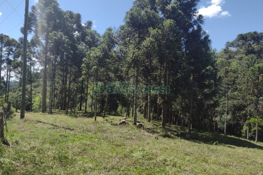 Chácara, no bairro Pedras Brancas em São Marcos para Comprar