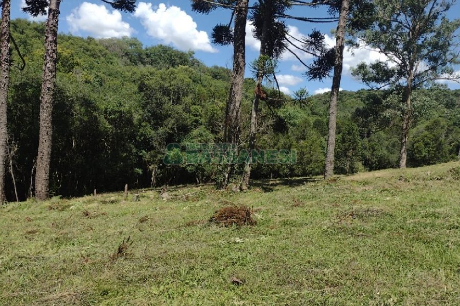 Chácara, no bairro Pedras Brancas em São Marcos para Comprar