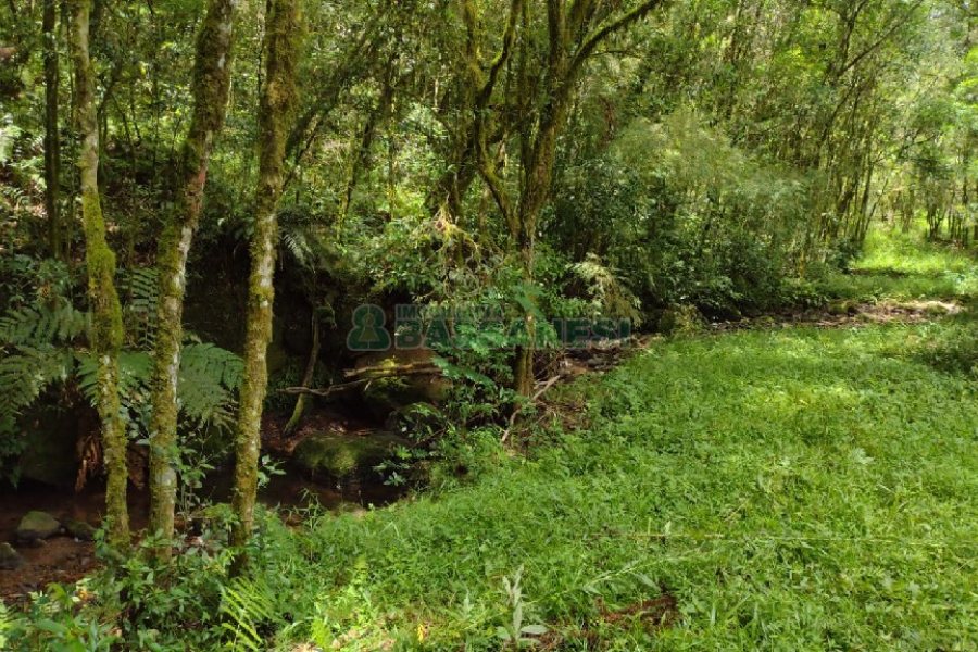 Chácara, no bairro Pedras Brancas em São Marcos para Comprar