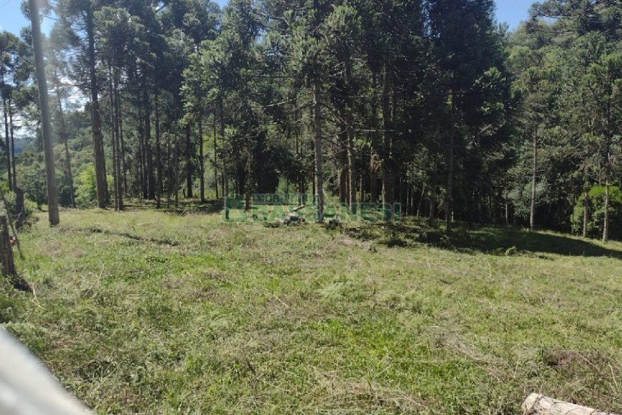 Chácara, no bairro Pedras Brancas em São Marcos para Comprar