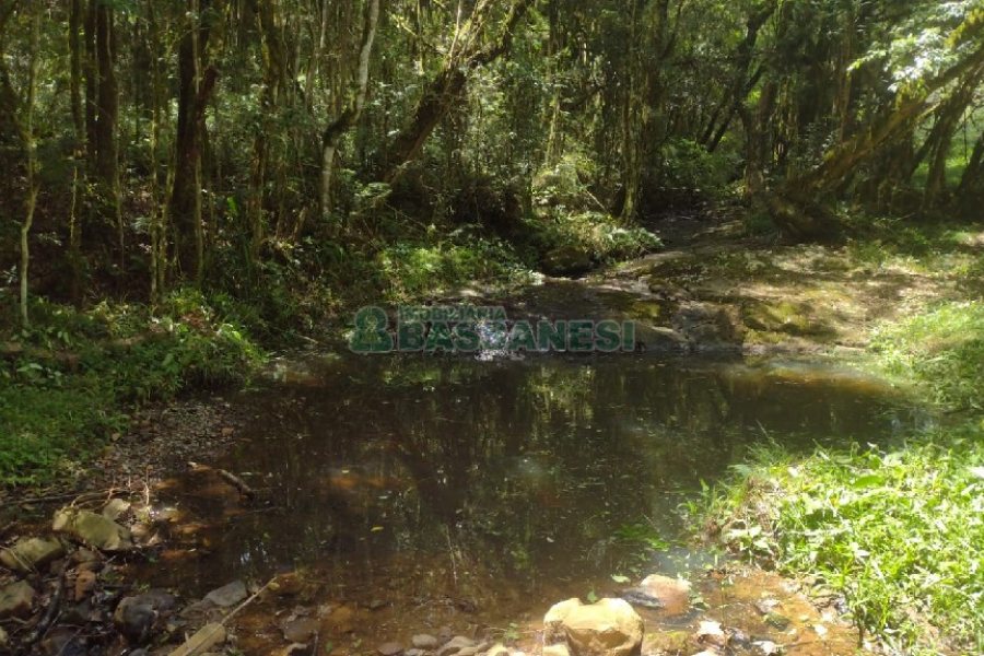Chácara, no bairro Pedras Brancas em São Marcos para Comprar