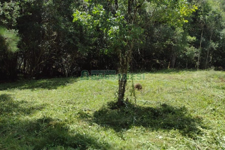 Chácara, no bairro Pedras Brancas em São Marcos para Comprar