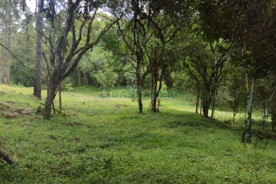 Chácara, no bairro Pedras Brancas em São Marcos para Comprar