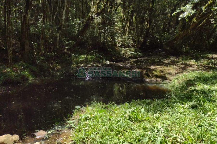 Chácara, no bairro Pedras Brancas em São Marcos para Comprar