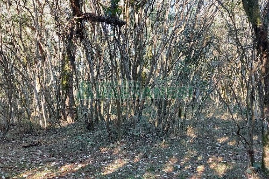 Chácara, no bairro Pedras Brancas em São Marcos para Comprar