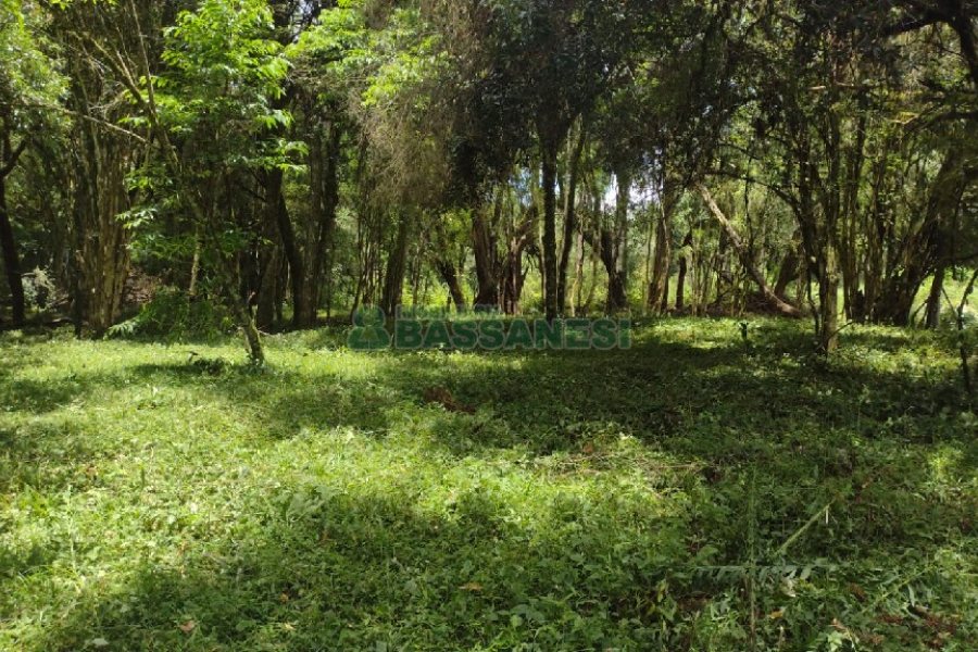 Chácara, no bairro Pedras Brancas em São Marcos para Comprar