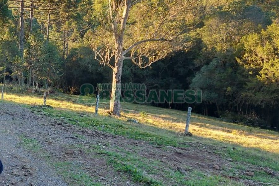 Chácara, no bairro Pedras Brancas em São Marcos para Comprar