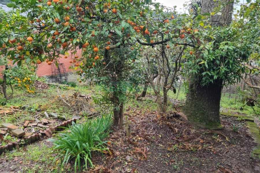 Casa com 130m², 3 dormitórios, 2 vagas, no bairro Cruzeiro em Caxias do Sul para Comprar