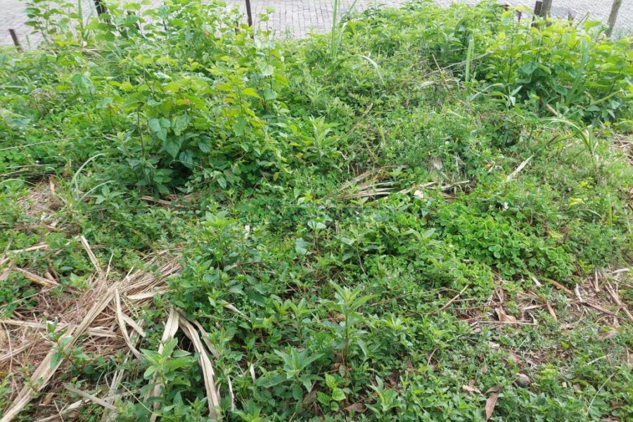 Terreno com 460m², no bairro Charqueadas em Caxias do Sul para Comprar