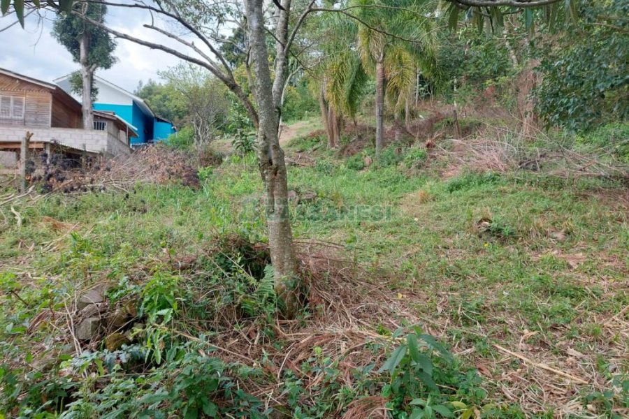 Terreno com 460m², no bairro Charqueadas em Caxias do Sul para Comprar