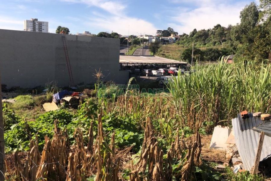Terreno com 991m², no bairro Sanvitto em Caxias do Sul para Comprar