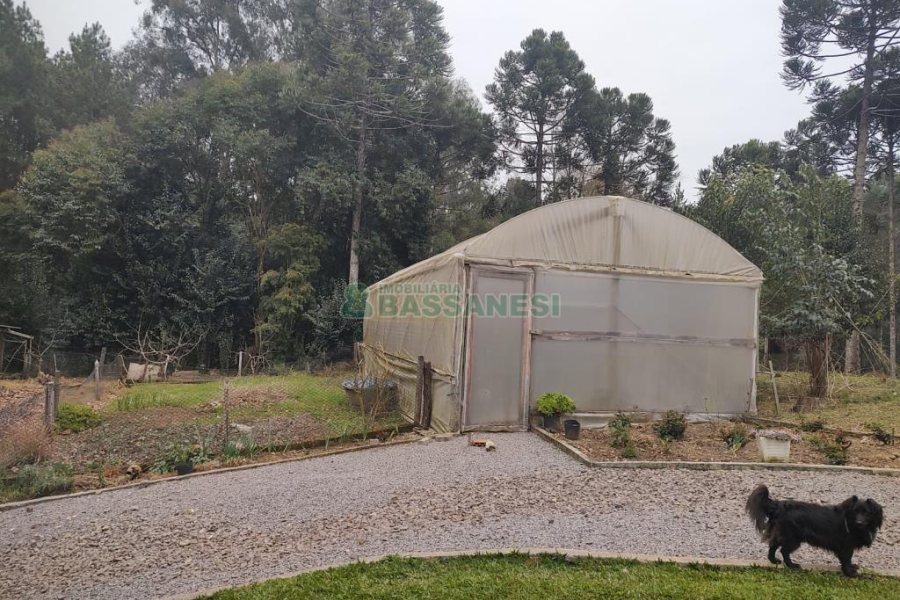 Chácara com 167m², no bairro Ana Rech em Caxias do Sul para Comprar