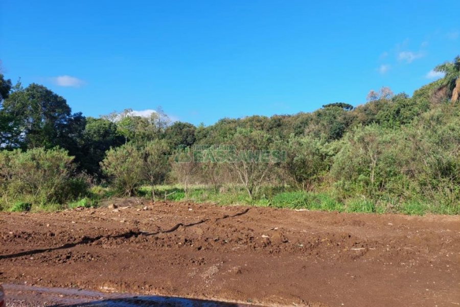 Terreno com 20000m², no bairro Nossa Senhora da Saúde em Caxias do Sul para Comprar