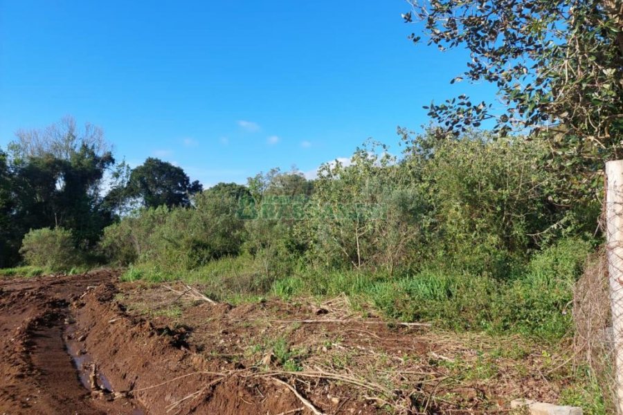 Terreno com 20000m², no bairro Nossa Senhora da Saúde em Caxias do Sul para Comprar