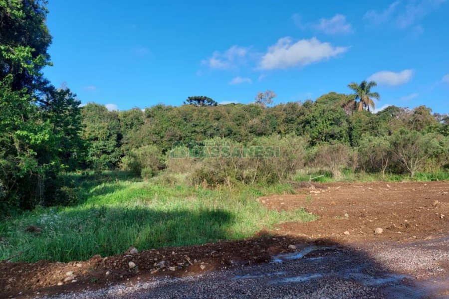 Terreno com 20000m², no bairro Nossa Senhora da Saúde em Caxias do Sul para Comprar