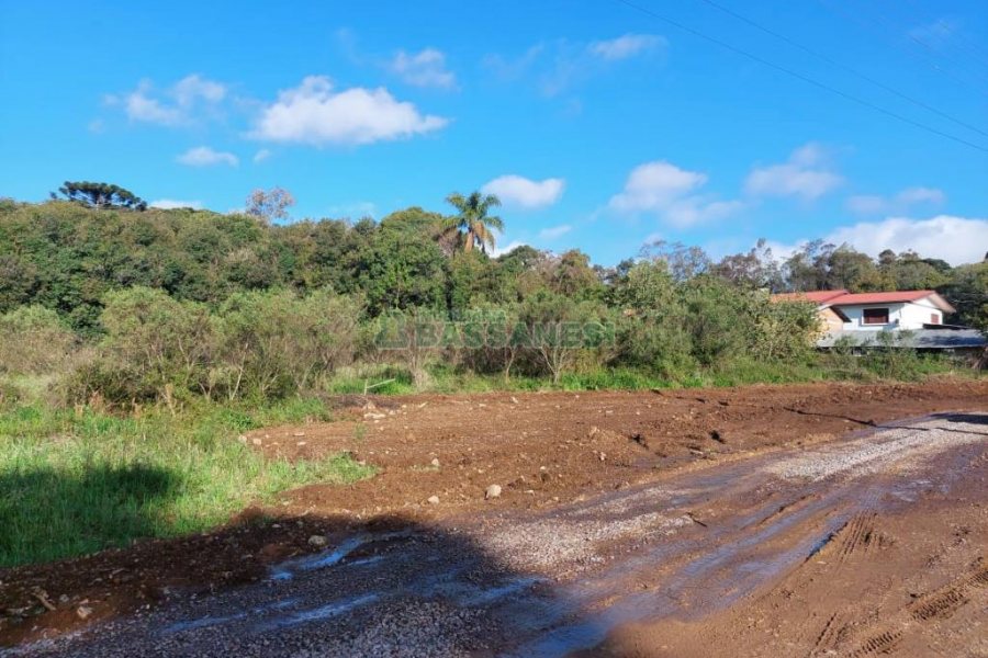 Terreno com 20000m², no bairro Nossa Senhora da Saúde em Caxias do Sul para Comprar