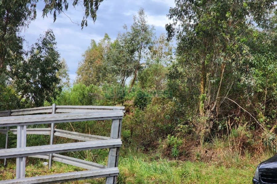 Terreno com 360m², no bairro Sanvitto em Caxias do Sul para Comprar