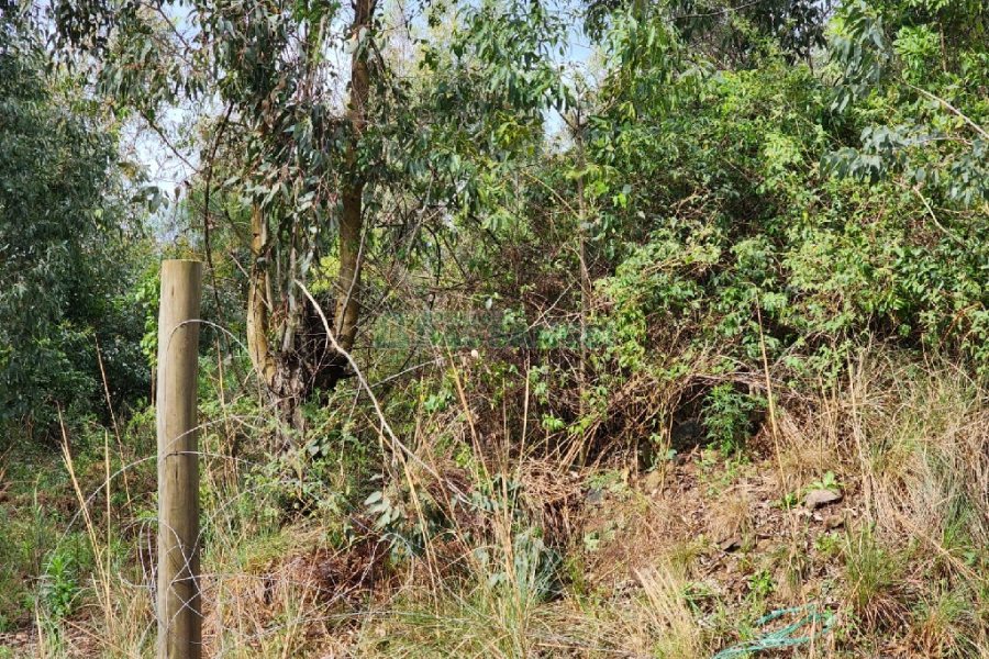 Terreno com 360m², no bairro Sanvitto em Caxias do Sul para Comprar