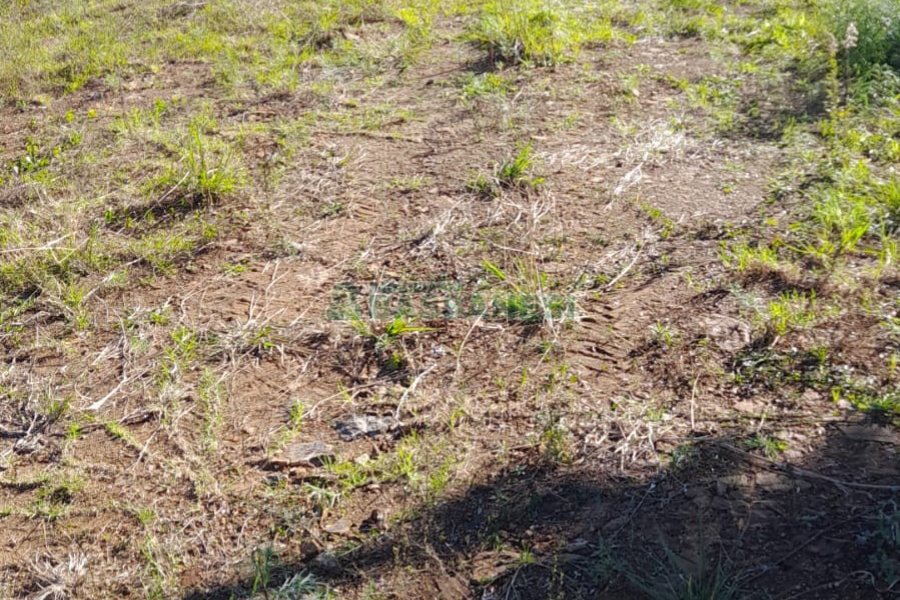 Terreno, no bairro Treviso em Caxias do Sul para Comprar