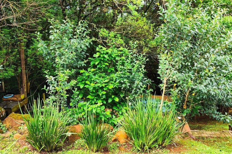 Casa Mobiliada com 100m², 3 dormitórios, 3 vagas, no bairro Linha 40 em Caxias do Sul para Comprar