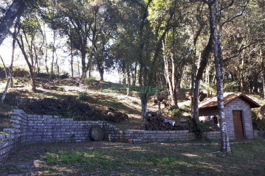 Casa com 200m², 5 dormitórios, 5 vagas, no bairro 3 Legua em Caxias do Sul para Alugar