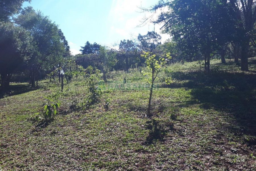 Casa com 200m², 5 dormitórios, 5 vagas, no bairro 3 Legua em Caxias do Sul para Alugar