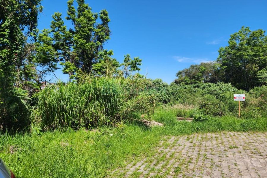 Terreno com 366m², no bairro Salgado Filho em Caxias do Sul para Comprar