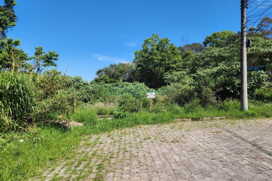 Terreno com 366m², no bairro Salgado Filho em Caxias do Sul para Comprar