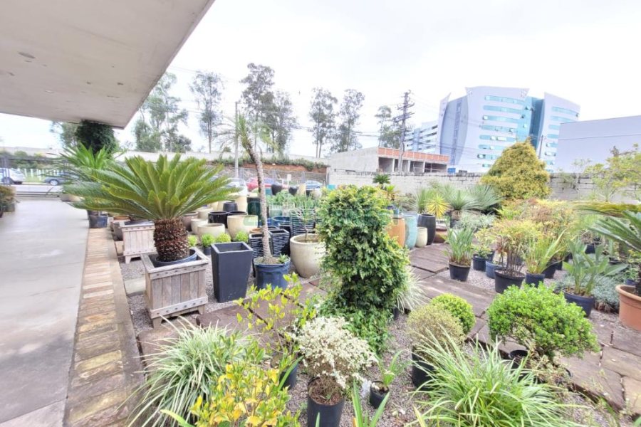 Loja com 360m², no bairro Sanvitto em Caxias do Sul para Alugar