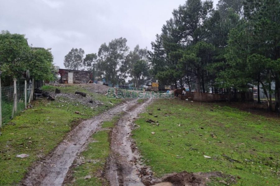 Terreno com 5551m², no bairro Nossa Senhora do Rosário em Caxias do Sul para Comprar