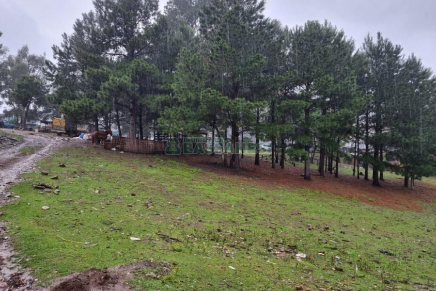 Terreno com 5551m², no bairro Nossa Senhora do Rosário em Caxias do Sul para Comprar
