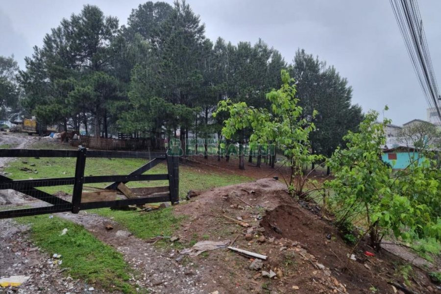 Terreno com 5551m², no bairro Nossa Senhora do Rosário em Caxias do Sul para Comprar