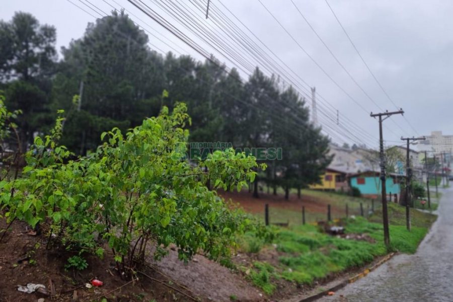 Terreno com 5551m², no bairro Nossa Senhora do Rosário em Caxias do Sul para Comprar