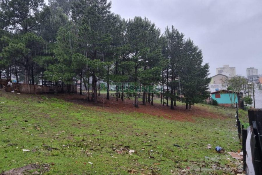 Terreno com 5551m², no bairro Nossa Senhora do Rosário em Caxias do Sul para Comprar