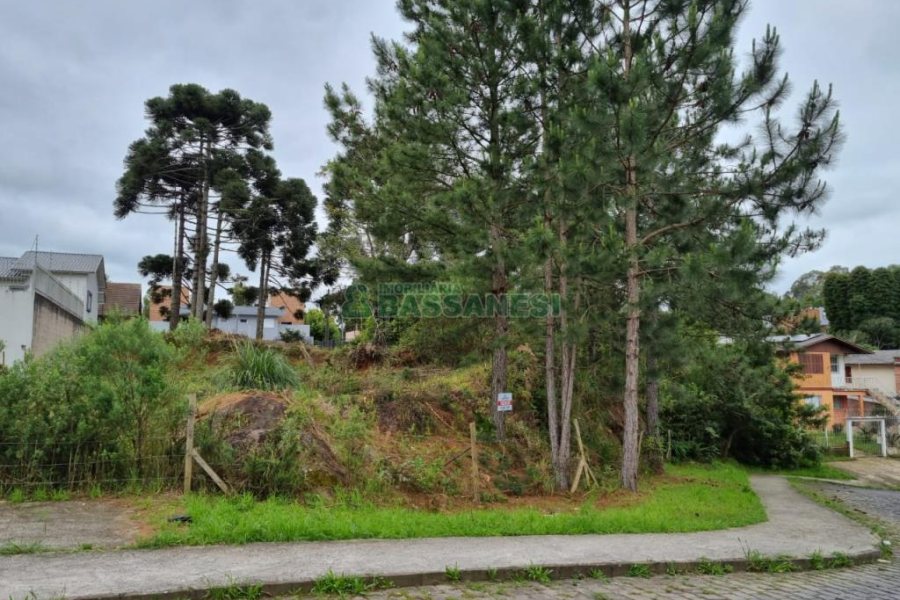 Terreno com 1787m², no bairro São Virgílio em Caxias do Sul para Comprar
