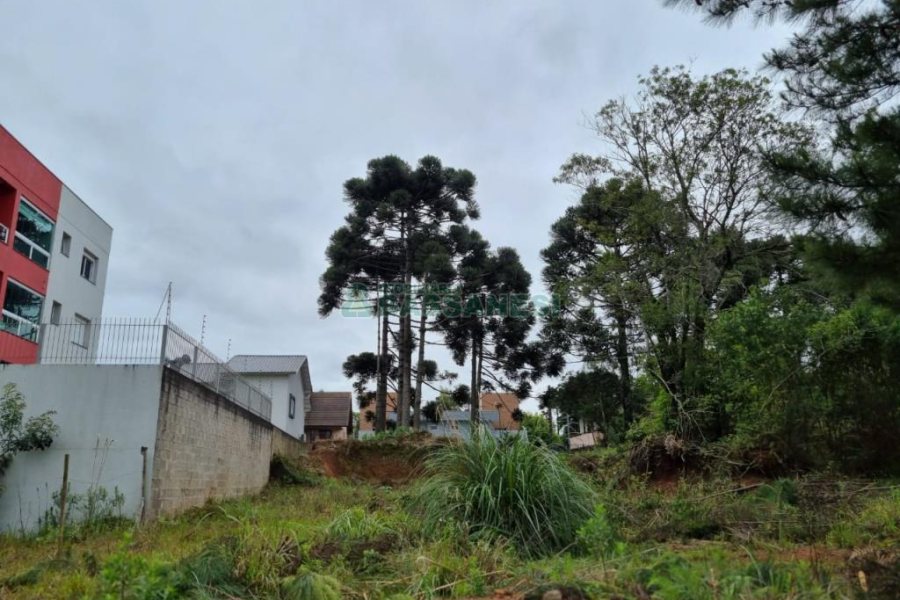 Terreno com 1787m², no bairro São Virgílio em Caxias do Sul para Comprar