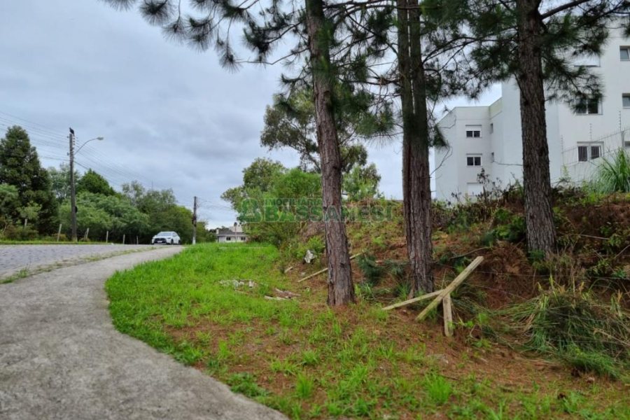 Terreno com 1787m², no bairro São Virgílio em Caxias do Sul para Comprar