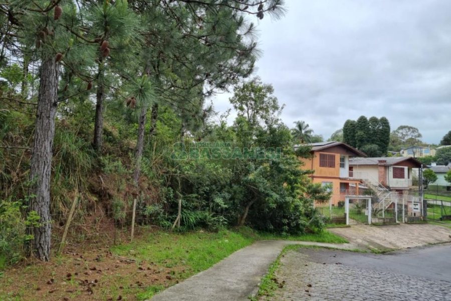 Terreno com 1787m², no bairro São Virgílio em Caxias do Sul para Comprar