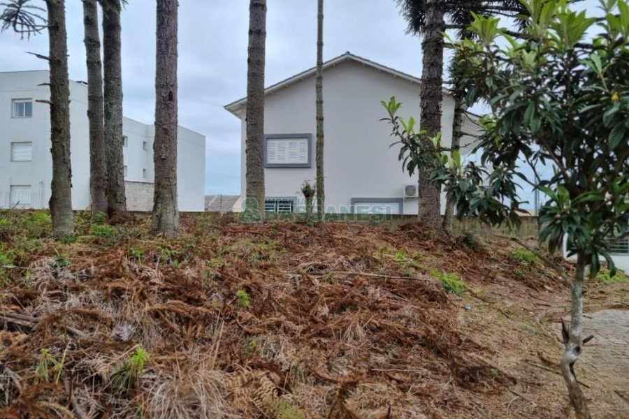 Terreno com 1787m², no bairro São Virgílio em Caxias do Sul para Comprar