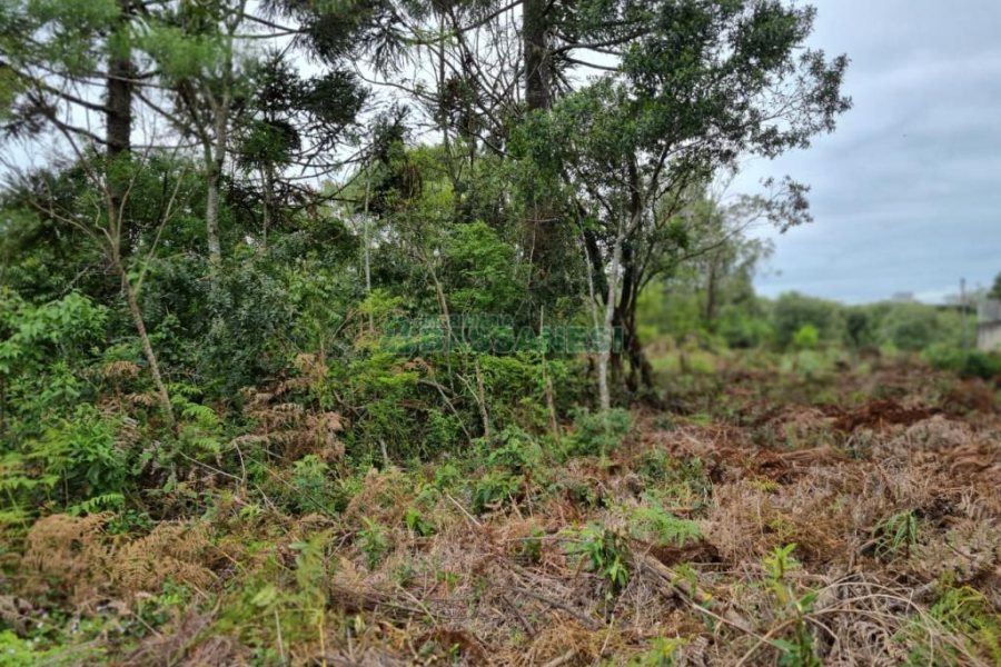 Terreno com 1787m², no bairro São Virgílio em Caxias do Sul para Comprar