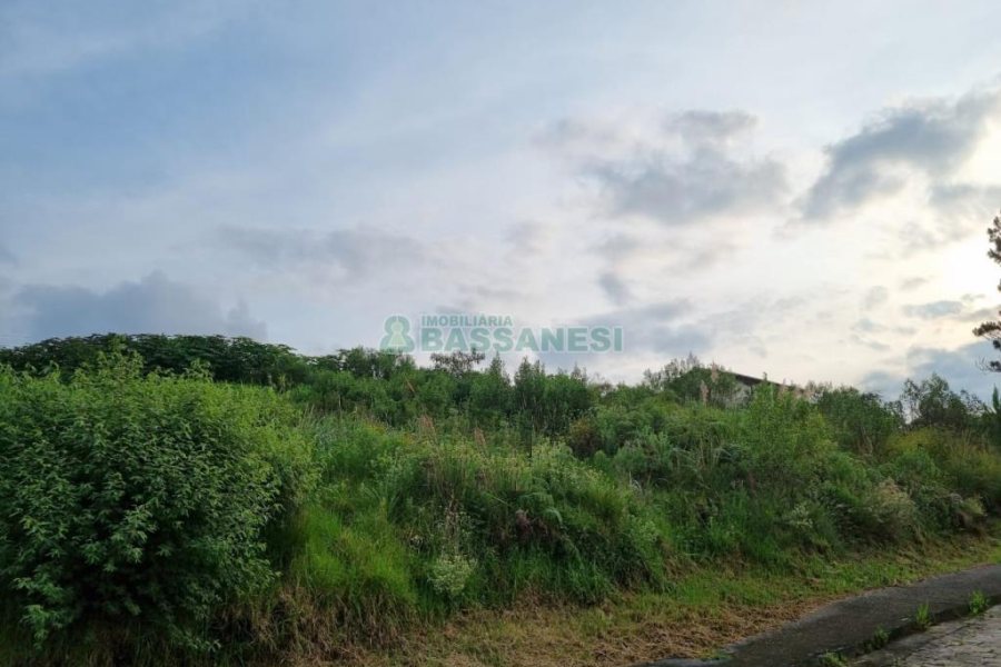 Terreno, no bairro Marechal Floriano em Caxias do Sul para Comprar