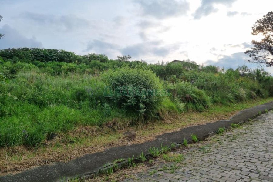 Terreno, no bairro Marechal Floriano em Caxias do Sul para Comprar