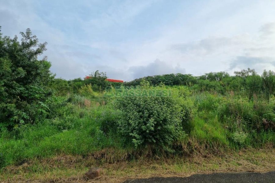 Terreno, no bairro Marechal Floriano em Caxias do Sul para Comprar