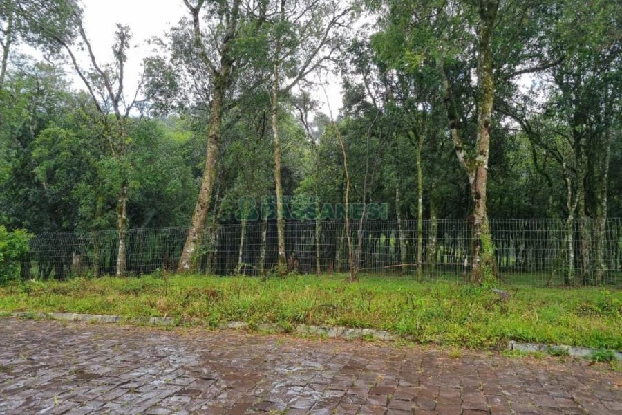 Terreno, no bairro Nossa Senhora do Rosário em Caxias do Sul para Comprar