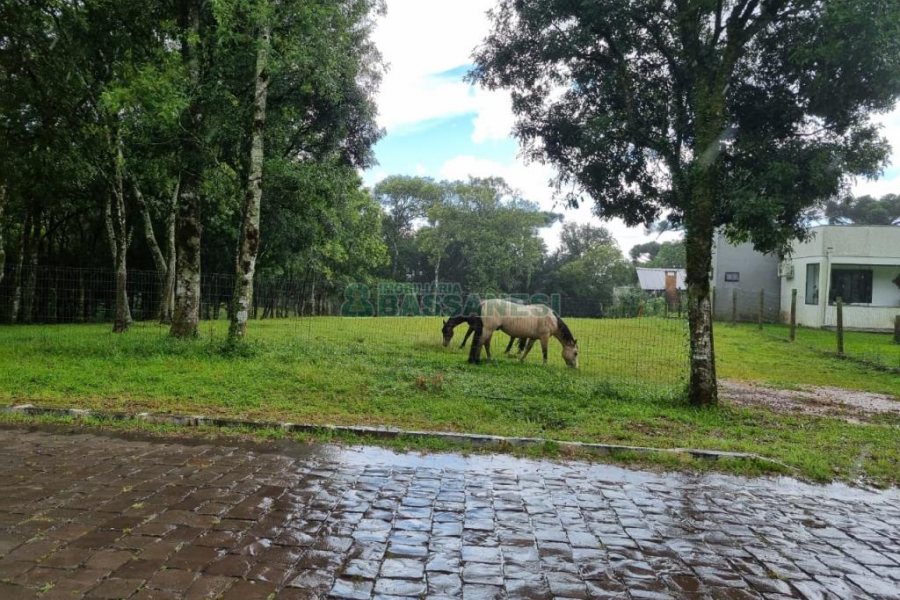 Terreno, no bairro Nossa Senhora do Rosário em Caxias do Sul para Comprar